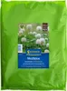 Kiepenkerl Kleesamen Weißklee Trifolium repens für 250 m² 1 Produktbild-Vorschau 6