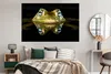 MuchoWow® Poster Frosch - Augen - Porträt 180x120 cm - Produktbild-Vorschau 4