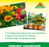 Neudorff Ferramin Eisendünger - 250 ml Produktbild-Vorschau 4