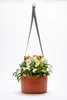 Plastia | Hängende Pflanzkübel Berberis - 26x20 cm - Produktbild-Vorschau 7