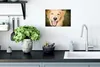 MuchoWow® Poster Das Glitzern in den Augen dieses Labrador Produktbild-Vorschau 3