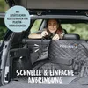 RUDELKÖNIG Kofferraumschutz Hund gesteppt – Produktbild-Vorschau 4