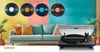 Lenco L-30BK - Gramofon s řemínkovým pohonem a dřevěnou Náhled obrázku produktu 4