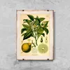 Poster - Canvas - Leinwand - 21 cm x 29,7 cm - Fotoposter - Produktbild-Vorschau 1