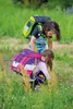 Herlitz Schulranzenset FiloActive DIN Plus Wild Life Produktbild-Vorschau 12
