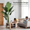 IvoQ Strelitzia - Plante artificielle de 210 cm - Grande Voir les images du produit 5