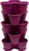 5x Gerber Trio Lila Produktbild-Vorschau 1