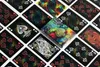 Mazzo di carte Bicycle® - Carte da gioco Stargazer Nebula Anteprima dell’immagine prodotto 9