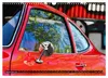 Opel GT 1900 AL Eine deutsche Sportwagenlegende Produktbild-Vorschau 7