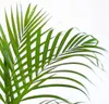 Areca Palme Dypsis Goldfruchtpalme 100cm Ø21cm mit Seegras Produktbild-Vorschau 4