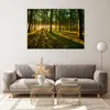 Bilder auf glas - Wald grün Sonnenstrahlen Natur - 100x70cm Produktbild-Vorschau 7