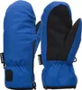 A pair of blue and black winter mittens are shown against a white background. Produktbild-Vorschau