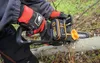 WORX Řetězová pila AKU WG350E.9 (bez AKU) Náhled obrázku produktu 4