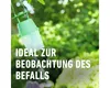 COMPO  Buchsbaumzünsler Lockstoff - 4er Pack Produktbild-Vorschau 6