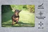 MuchoWow® Schreibtischunterlage Ein sprintender Dackel Produktbild-Vorschau 2
