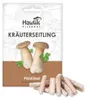 Hawlik Pilzbrut Kräuterseitling Dübel – 20 Pilzdübel auf Produktbild-Vorschau 1