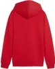 Puma Herren teamGOAL Casuals Hoodie - 658618, Farbe:Rot, Produktbild-Vorschau 4