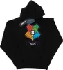Harry Potter - Kapuzenpullover für Herren BI11844 (3XL) Produktbild-Vorschau 1