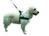 MIAMI PLUS Geschirr 60 - 75cm Halsriemen: 40cm/40mm, Produktbild-Vorschau 2