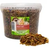 UGF Insektenmischung 500g (3L) Igelfutter, Rennmausfutter, Produktbild-Vorschau 1