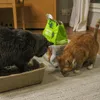 Two cats are interacting with a bag of cat litter and a litter box. Anteprima dell’immagine prodotto