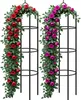 2x Tuteur de jardin 200 cm Colonne rosiers Support pour Voir les images du produit 1