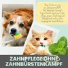 noms+ Dentalspray 50ml  für Hunde und Katzen bei Zahnstein Produktbild-Vorschau 8