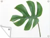 Gartenposter - 120x80 cm - Botanischer Druckbogen  - Produktbild-Vorschau 2
