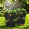 Erdbeer Pflanzsack im 2er Set - je 45 x 35 cm / 45 Liter - Produktbild-Vorschau 7