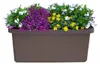 Plastia Pflanzkübel Berberis DUO brau, A33614 Produktbild-Vorschau 9