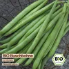 Samenliebe  Bohne Samen | La Victoire - grün & fadenlos - Produktbild-Vorschau 4