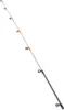 Daiwa Bg Tenya Game Bootsrute Silber 2.40 m / 15-80 g Produktbild-Vorschau 2