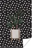 MuchoWow® Poster Zimmerpflanzen - Blumentopf - Holz 60x90 Produktbild-Vorschau 1