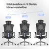 SIHOO krzesło biurowe ergonomiczne, lędźwiowe wysokie Podgląd zdjęcia produktu 11