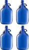 4 x 5L Blaue Flasche mit Bügelverschluss GÄRBALLON Produktbild-Vorschau 1