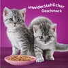 Whiskas Junior Katzennassfutter Geflügel Auswahl in Gelee, Produktbild-Vorschau 7