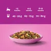 Whiskas Junior 300g Trockenfutter Vollnahrung für Kätzchen Produktbild-Vorschau 4