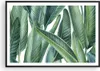Gerahmtes Poster - Schwarzer Rahmen - Exotisch Blätter Grün Produktbild-Vorschau 1
