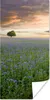 MuchoWow® Poster Sonnenuntergang - Blumen - Farben 20x40 cm Produktbild-Vorschau 1
