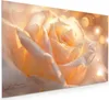 Küchenrückwand Spritzschutz Glas mit Motiv Leuchtende Blüte Produktbild-Vorschau 1