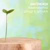 Teaköl 5 L farblos für Teak- und Bangkiraiholz, Parkett, Produktbild-Vorschau 3