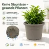 Pflanztopf Fiona Taupe Ø 30cm - Frostsicher & UV-Beständig Produktbild-Vorschau 5