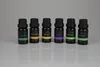 Hyrican Sense Aroma-Öl (Lavendel, Teebaum, Lemon, Minze, Produktbild-Vorschau 3