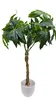 Glückskastanie 60 cm künstlich wie echt Kunstbaum Produktbild-Vorschau 4