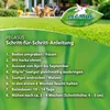 Pegasus Rasensamen Schattenrasen 2 kg Produktbild-Vorschau 6
