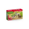 schleich FARM WORLD 42660, 3 Jahr(e), Farm, Farm animals / Produktbild-Vorschau 6
