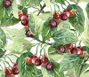 Coloray Fototapete 250x250 cm Latextapete Magicstick - Produktbild-Vorschau 2