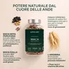 Capsule di maca Aavalabs | Giallo e nero | Vitalità e Anteprima dell’immagine prodotto 2