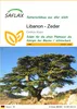 SAFLAX - Libanon - Zeder - 20 Samen - Cedrus libani Produktbild-Vorschau 1