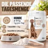REAVET Kieselerde Pulver für Hunde 400g – Natürliche Produktbild-Vorschau 5